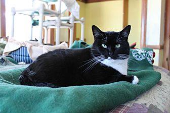 Fuzzball (10722316)