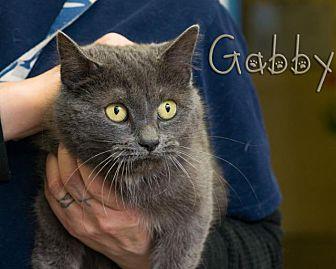 Gabby (20862493)