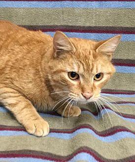 Garfield (20927530)