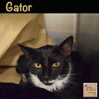 Gator (20622887)