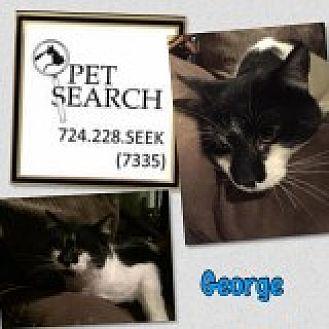 George (20621378)