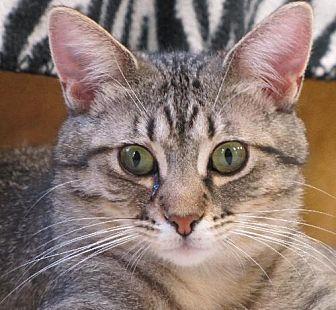 Gia (19754908)