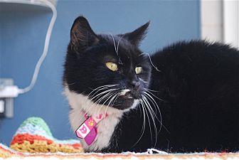 Gidget (20789628)