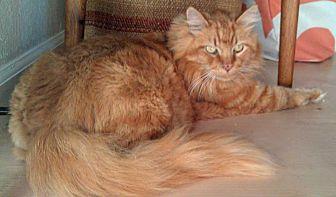 Gilbert (20952718)