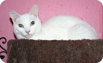 Giovanni (9783711)