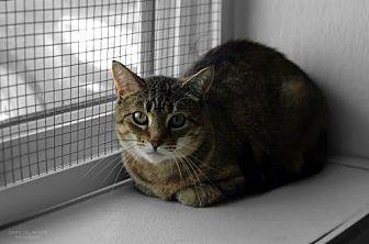Glenda (12396095)