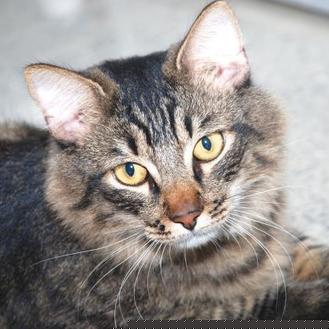 Gunther (21139815)