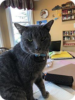 Harvey (18226068)