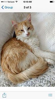 HeiHei (20931636)