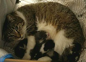 Hera’s babie (21069962)
