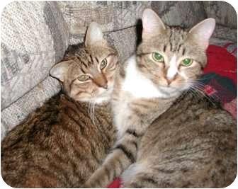 Hewy & Dewy (5703423)