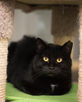 Holly (7) (20762981)