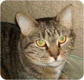 Isabell (4331242)