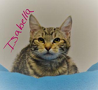 Isabella (20822538)