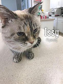 Issy (20926839)