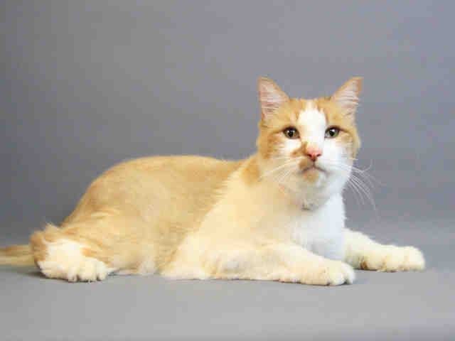JAX (A105083)