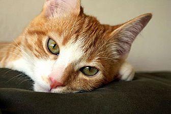 Jerry (20952719)