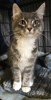 Jerry (21057307)