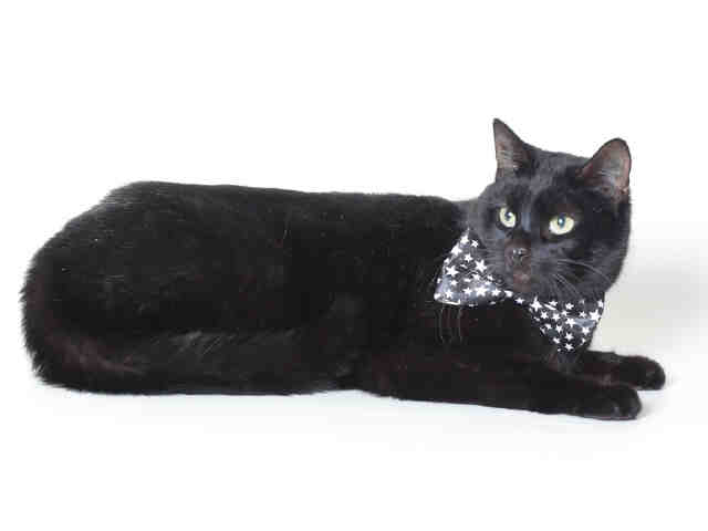 JETT (A120242)