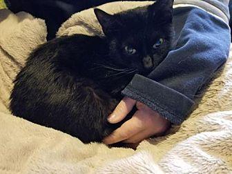Jiji (20817486)