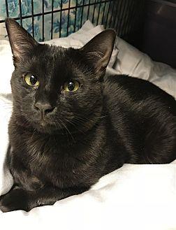Jiji (20926484)
