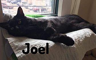 Joel (18980404)