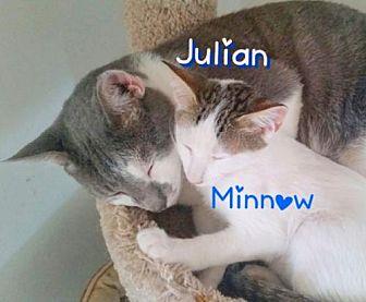 Julian (18952047)