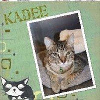 Kadee (20902103)