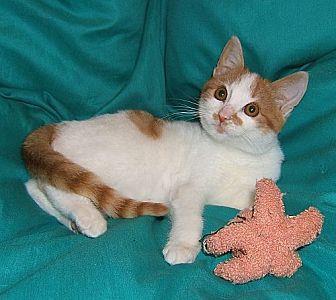 Katie (20083187)