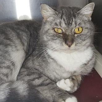 Katy Purry (20955250)