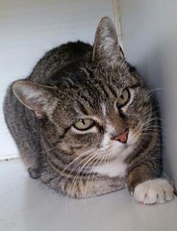 Kiki (20840095)