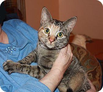 Kitty Boo Bo (17495285)
