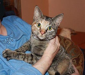 Kitty Boo Bo (17495956)