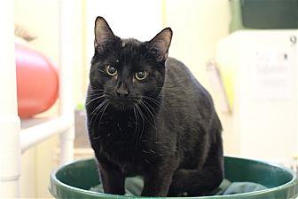 Klinger (21113661)