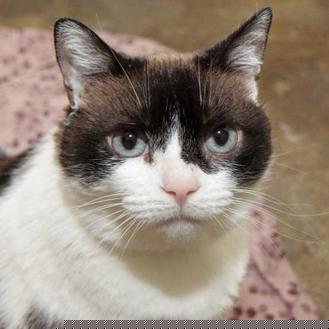 Laverne (20862541)