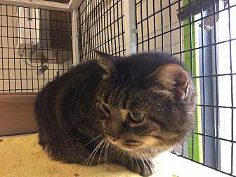 Leonardo (20156260)