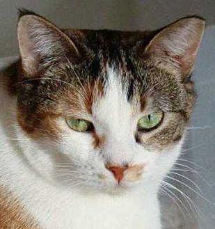 Libby (18533688)