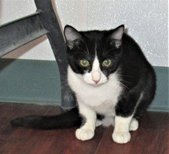 Libby (20674396)
