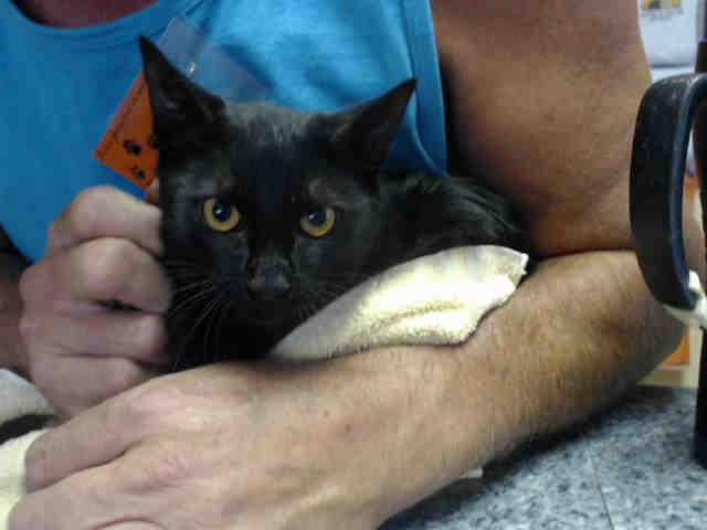 LIBBY (A014598)