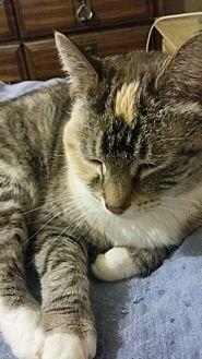 Lily (18653995)