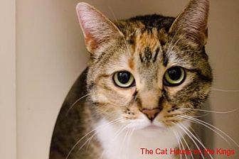 Lily (20983297)