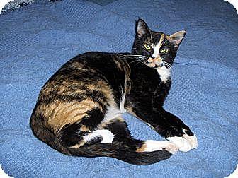 Lily (6551011)