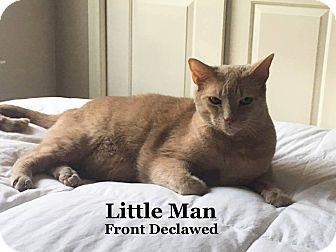 Little Man (16581480)