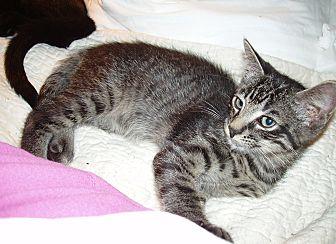 Little Thoma (20964284)