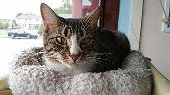 Lizette (20533437)