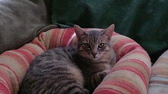 Lonnie (14980738)