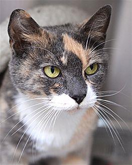 Loretta (20941093)