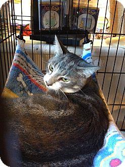 Louie (7312961)