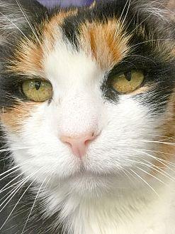 Louise (20685350)