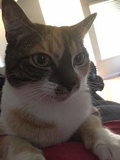 Lucy (20628737)